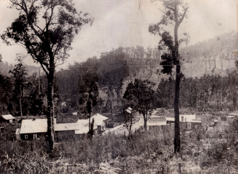 The early Noojee township and its shopfronts in the valley, seen between tall gum trees