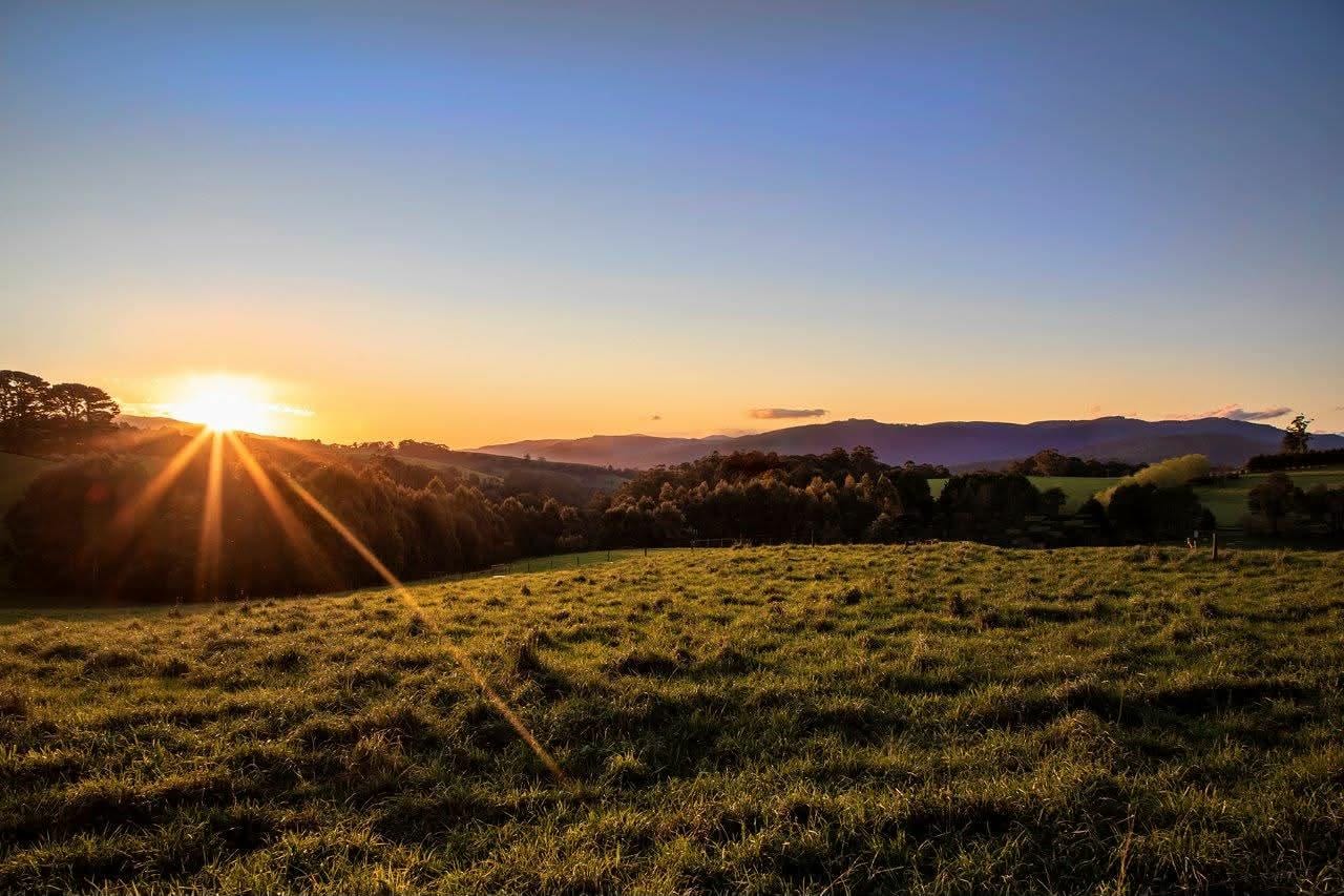 Sunset light over paddocks outside Noojee